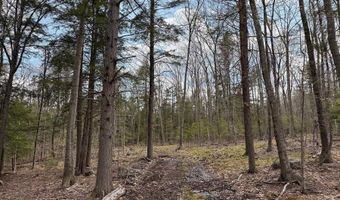 TM 413 L 99 King Road, Alexandria, NH 03222
