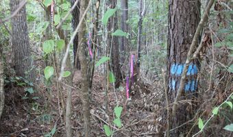 NE Hopewell Road, Brookhaven, MS 39601