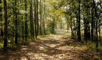 971 Somerset Rd SE, Bogue Chitto, MS 39629