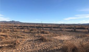 Quarter Horse, Caliente, NV 89008