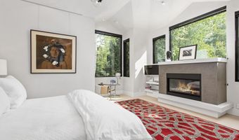 307 N Sixth St, Aspen, CO 81611