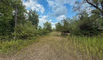 39 Acres N Pingree Rd, Alma, MI 48801