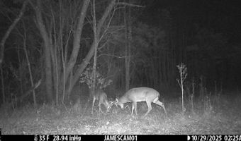 0 W Captina Highway Rd, Alledonia, OH 43902