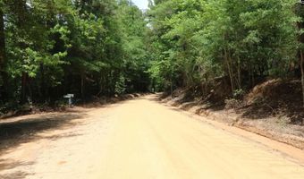 1091 Pine Grove Rd, Leesville, SC 29006
