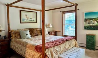 112 GREY SQUIRREL Ln, Blue River, CO 80424