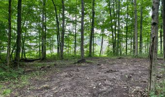 14900 Woodbridge Rd, Camden, MI 49232