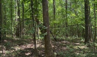 410 N Sharp Mountain Church Ln, Ball Ground, GA 30107