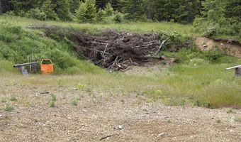 12572 E Parks Rd, Athol, ID 83801
