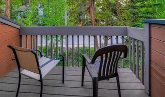 300 PRIMROSE Path 37, Breckenridge, CO 80424