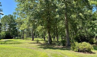 475 Co Rd 411, Abbeville, AL 36854