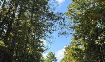 0 Military Rd, Beaverton, AL 35544