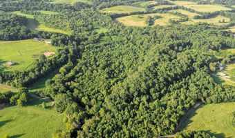 Co Rd 88, Anderson, AL 35610