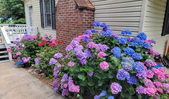 3105 Horseshoe Rd, Appomattox, VA 24522