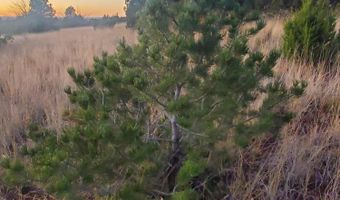 1 COUNTY ROAD N8155, Concho, AZ 85924