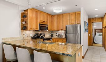 610 S West End St H202, Aspen, CO 81611