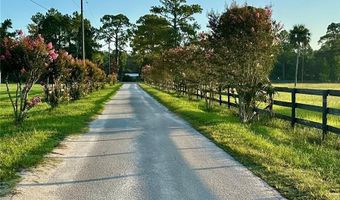 1350 RED COLT Ct, Astor, FL 32102