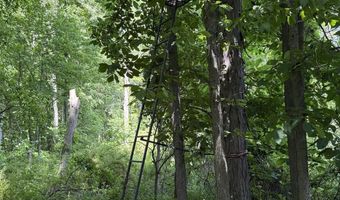 28 Mile Rd, Albion, MI 49224