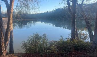 LOT 91 SIPSEY OVERLOOK, Double Springs, AL 35553