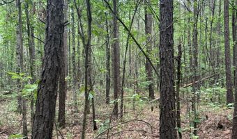 Crouch Road 4, Benton, LA 71006