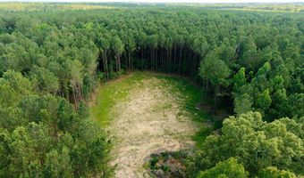 Trickhambridge Road lot 7, Brandon, MS 39042