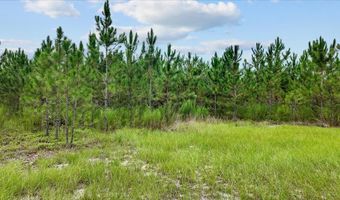 3670 25th Cir, Bell, FL 32619