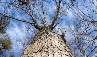 Virginia Ave lot 75, Bassett, VA 24055