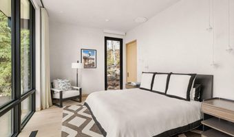 323 E Reds Rd, Aspen, CO 81611