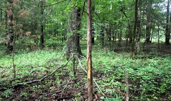 000 AVE 5 SW St, Atkins, AR 72823