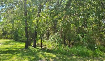 17 BELLS OF IRELAND Ct, Homosassa, FL 34446