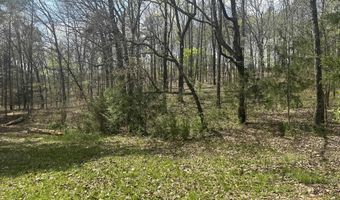 75 MARY LEE Ln, Alpine, AL 35014