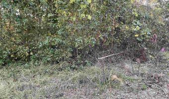 3551 Moonlight Rd, Barnwell, SC 29853