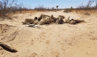 Brockman, Adelanto, CA 92301