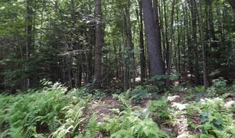 Pine Cliff Road, Alstead, NH 03602