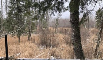 xxx Benson Rd, Alborn, MN 55702