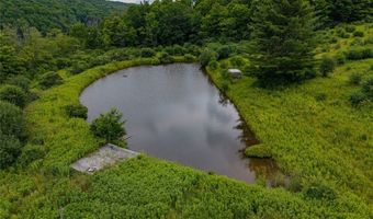 5249 State Route 21, Alfred, NY 14803