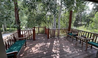 209 Deer Path Ln, Almont, CO 81230