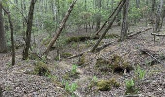 Ridge Road lot E, Appling, GA 30802