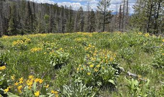 DEER HAVEN 40 AC Road, Bondurant, WY 82922