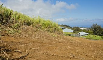 45-2809 LEHUA MAUKA Pl Lot #: 13-G, Honokaa, HI 96727