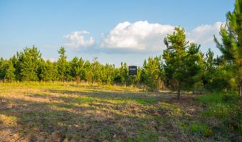 Mann Road 2, Arabi, GA 31712
