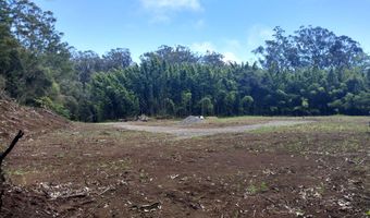 46-3821 PUAONO Rd 107, Honokaa, HI 96727