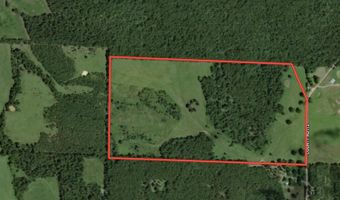 County Road 113, Alton, MO 65606