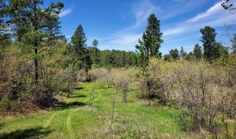 336 Middle Fork Rd, Devils Tower, WY 82714