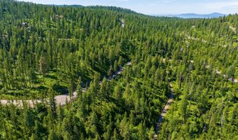 173 Timberjack Trl, Bigfork, MT 59911