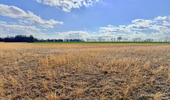 0001 CR-290, Asbury, MO 64832
