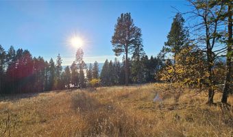 Nhn Sylvan Drive, Bigfork, MT 59911