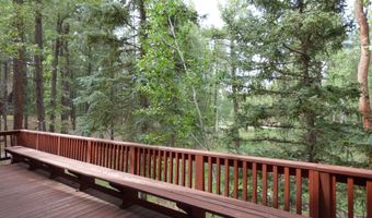 38 CR 2266, Alpine, AZ 85920