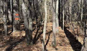 Lot 37 PETERSBURG Trace, Lincolnton, GA 30817