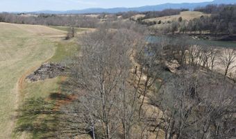 Tbd Lot 3 River Village Ln, Afton, TN 37616