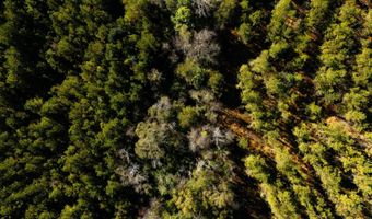 US Hwy 98, Beaumont, MS 39423